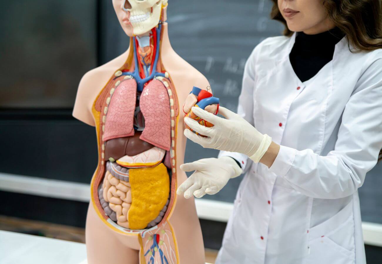 Other General Surgery Procedures