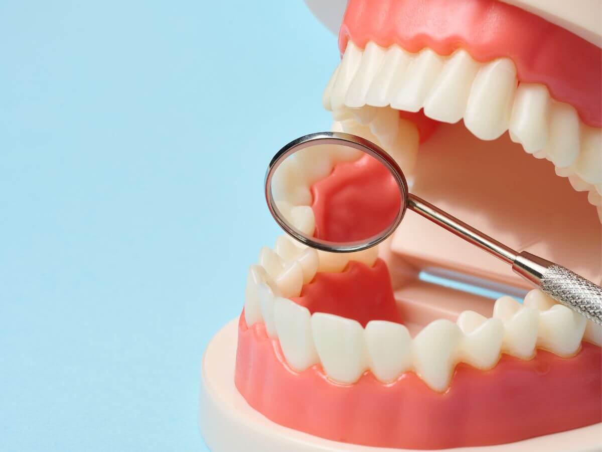 Periodontics (Gum Treatment & Gum Disease Care)